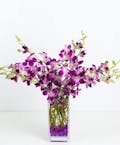 Dendrobium Orchid Vase