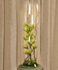 Green Cymbidium Elegance Vase